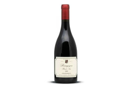 Remoriquet Remoriquet Bourgogne Pinot Noir 2023, Burgundy, France