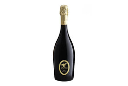 Pronol Pronol Millesimato Brut Sparkling, Glera, Veneto, Italy