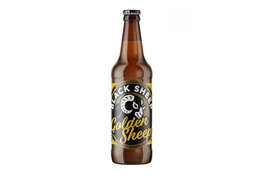 Black Sheep Black Sheep Golden Sheep Ale