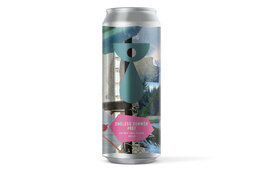 Teenage Brewing Teenage Brewing Endless Summer #002 DDH West Coast Pilsner