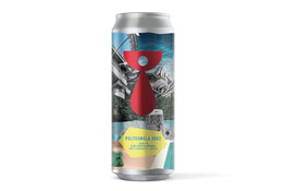 Teenage Brewing Teenage Brewing Polygonal #002 Sour IPA