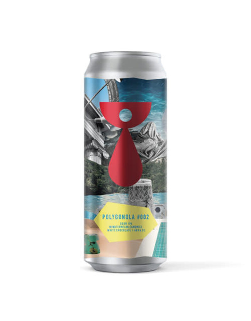 Teenage Brewing Teenage Brewing Polygonal #002 Sour IPA