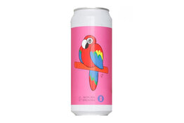 Totopia's Totopia's Tropicphilia DH Sour IPA