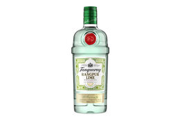 Tanqueray Tanqueray Rangpur Lime Gin 1000ml