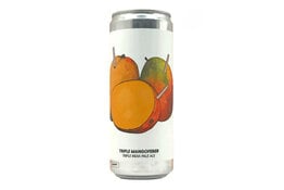 Brewski Brewski Mangofeber TIPA