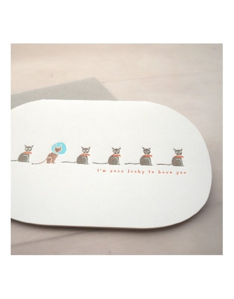 Ditto Ditto Ditto HPC006 I'm Sooo Lucky To Have You