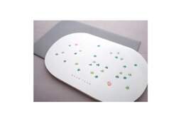 Ditto Ditto Ditto GCN002 Good Luck