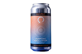 Equilibrium Brewery Equilibrium Harmonic Oscillation Rotational IPA