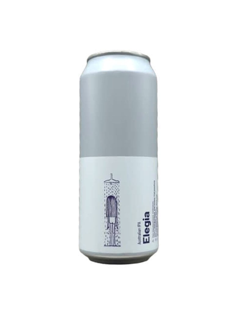 Ziemia Ziemia Elegia IPA w Galaxy, Vic Secret