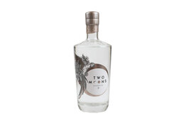 Two Moons Distillery Two Moons Ginger Gin 700ml