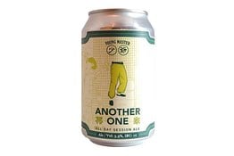 Young Master Young Master Another One Session IPA Can