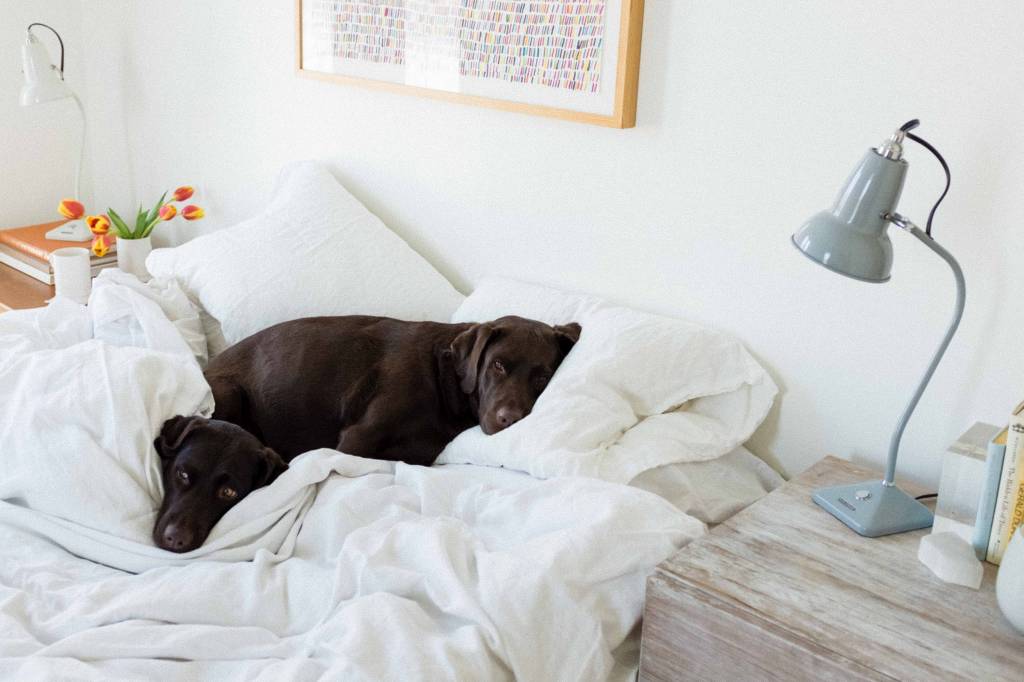 Keep Cozy