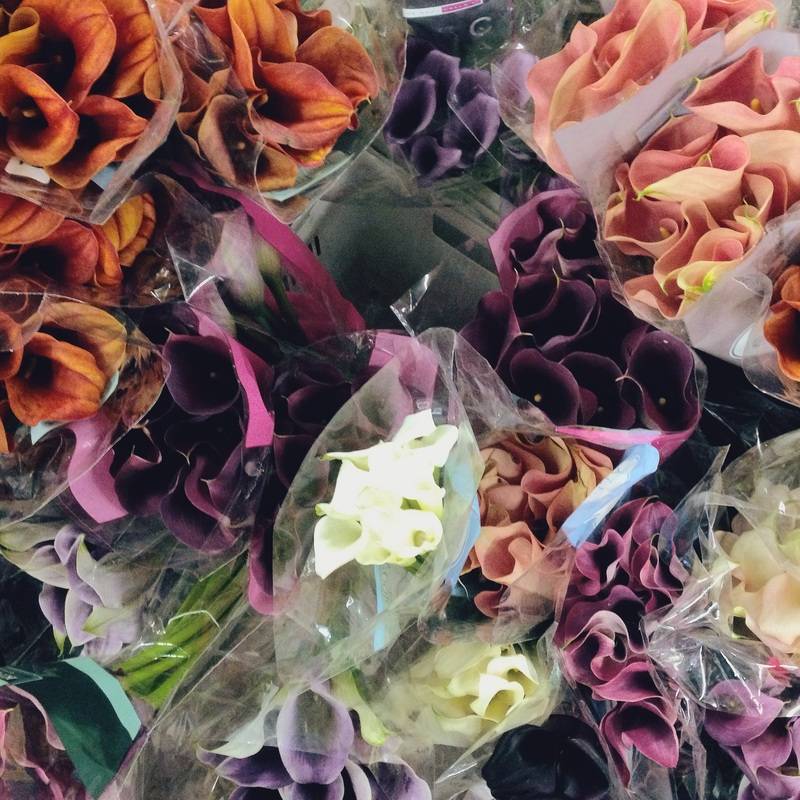 PETAL TO THE METAL