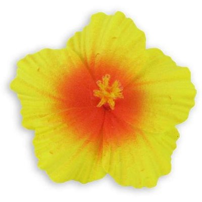 Yellow Orange Small Hibiscus Clip