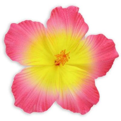 Pink Yellow Large Hibiscus Clip