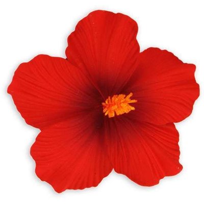 Red Large Hibiscus Clip