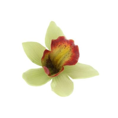 Green Hawaiian Orchid Clip