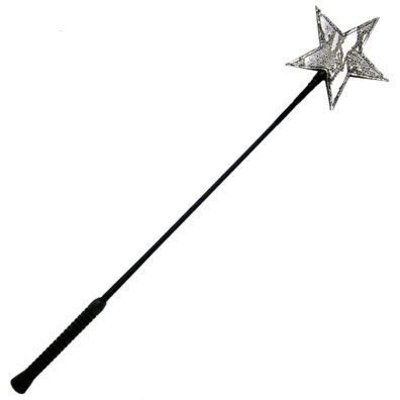 Kookie Riding Crop w/ Leather Star