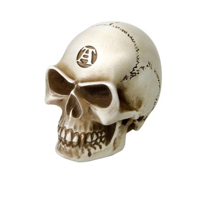 Alchemy England 1977 Bone Colored Skull Gear Knob