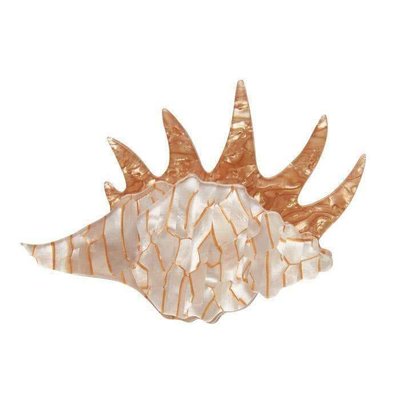 Erstwilder Mobile Home Shell Brooch