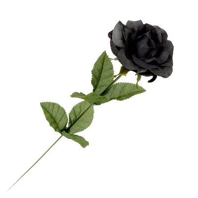 Alchemy England 1977 Black Imitation Rose