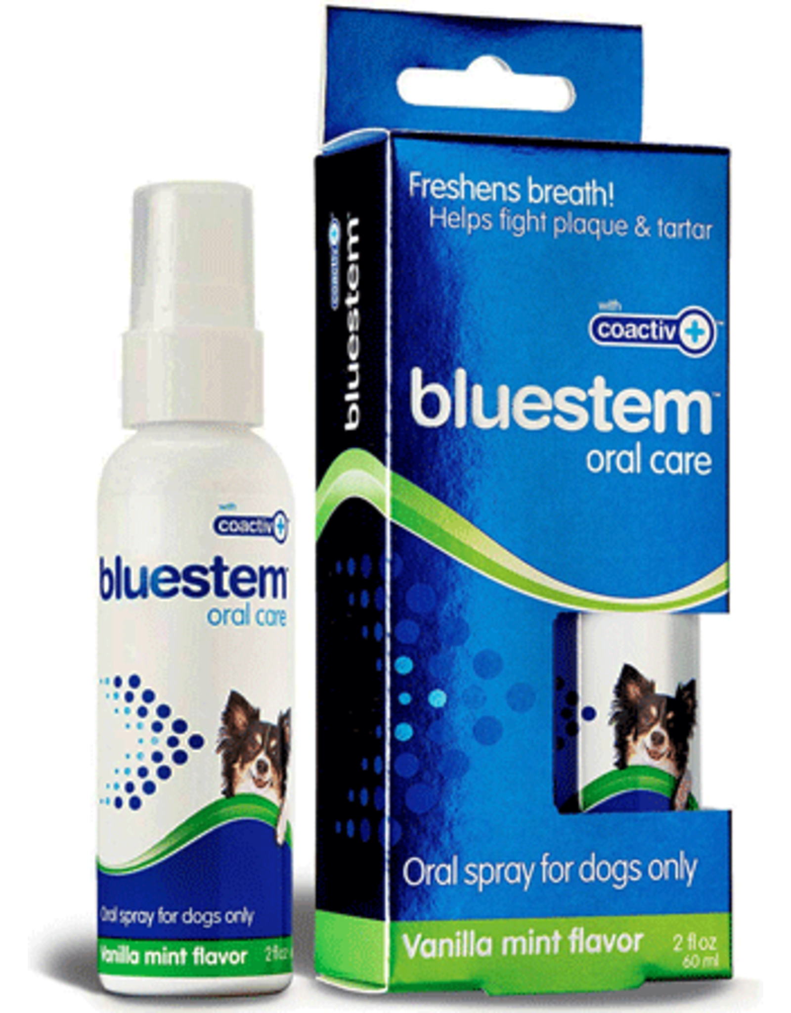 bluestem oral care for dogs