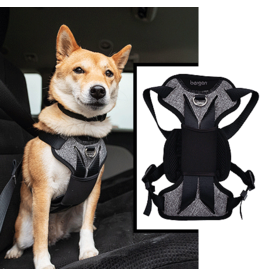 bergan car harness