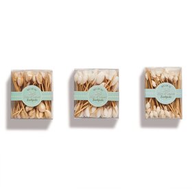 Two's Company Seashell Hors D'Oeuvre Picks In Gift Box