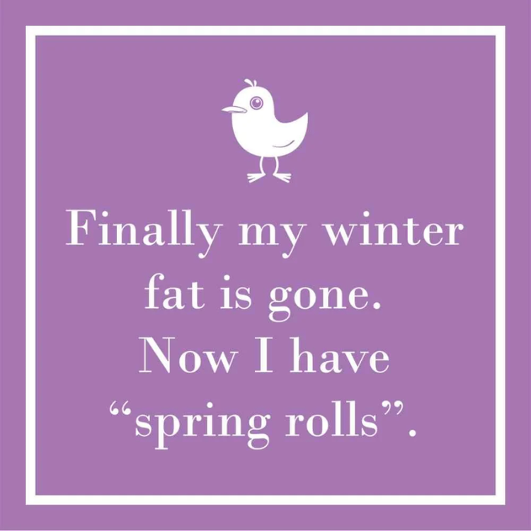 Paper Products Design Beverage Napkin - Spring Rolls