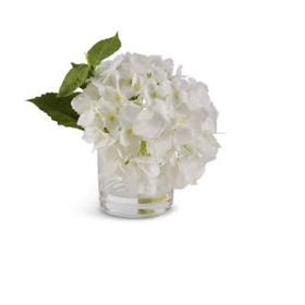 K&K Interiors 8" White Real Touch Hydrangea in Glass Vase