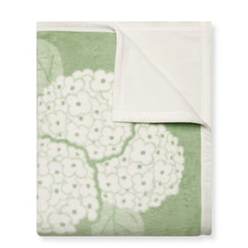 Chappy Wrap Hydrangea