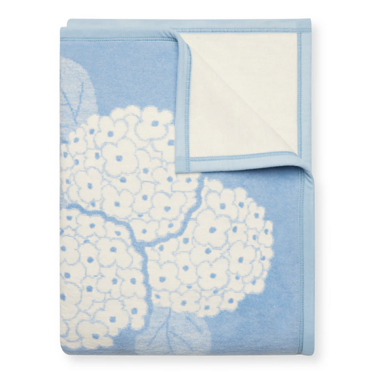 Chappy Wrap Hydrangea