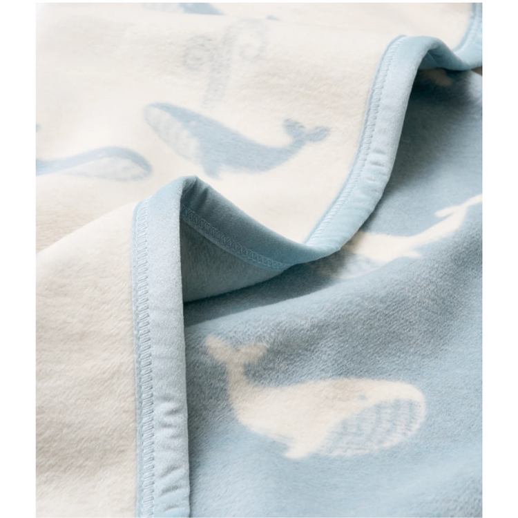 Chappy Wrap Mini Big Blue