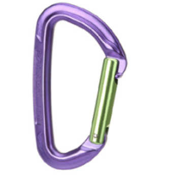 Wild Country Session Straight Gate Carabiner