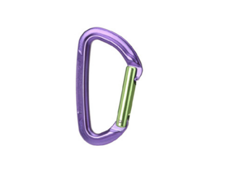 Wild Country Session Straight Gate Carabiner - Green/Purple