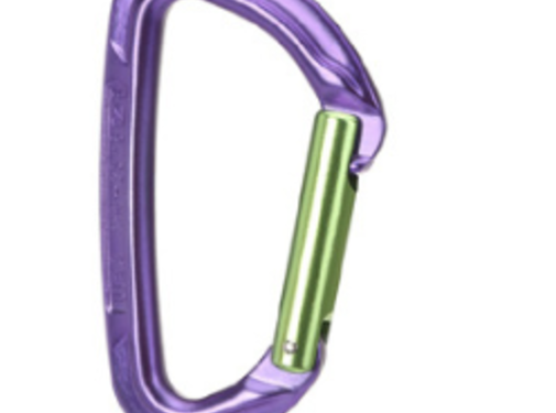Wild Country Session Straight Gate Carabiner