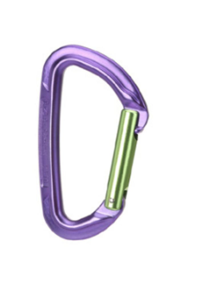 Wild Country Session Straight Gate Carabiner - Green/Purple