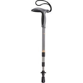 Leki Super Micro Trekking Pole