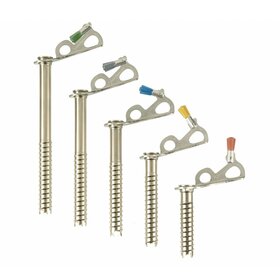 Black Diamond Express Ice Screws