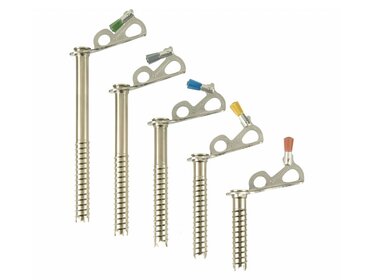 Black Diamond Express Ice Screws