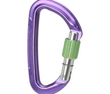 Wild Country Session Screwgate Carabiner