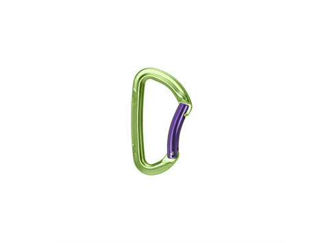 Wild Country Session Bent Gate Carabiner - Green/Purple