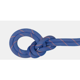 Mammut 9.0 Crag Sender Dry Rope- Standard