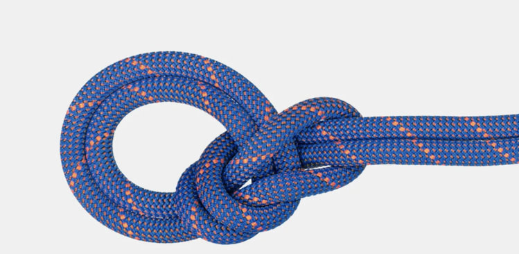 Mammut 9.0 Crag Sender Dry Rope- Standard