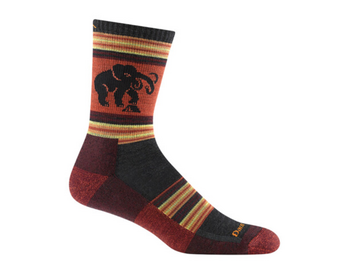 Darn Tough Vermont Men's Willoughby Micro Crew Lightweight Hiking Sock