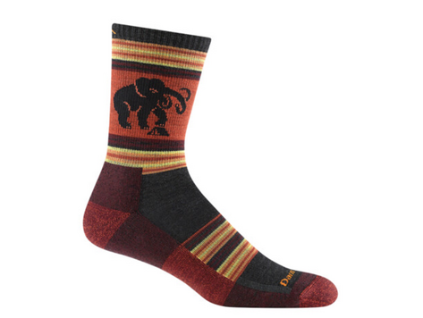 Darn Tough Vermont Men's Willoughby Micro Crew Lightweight Hiking Sock