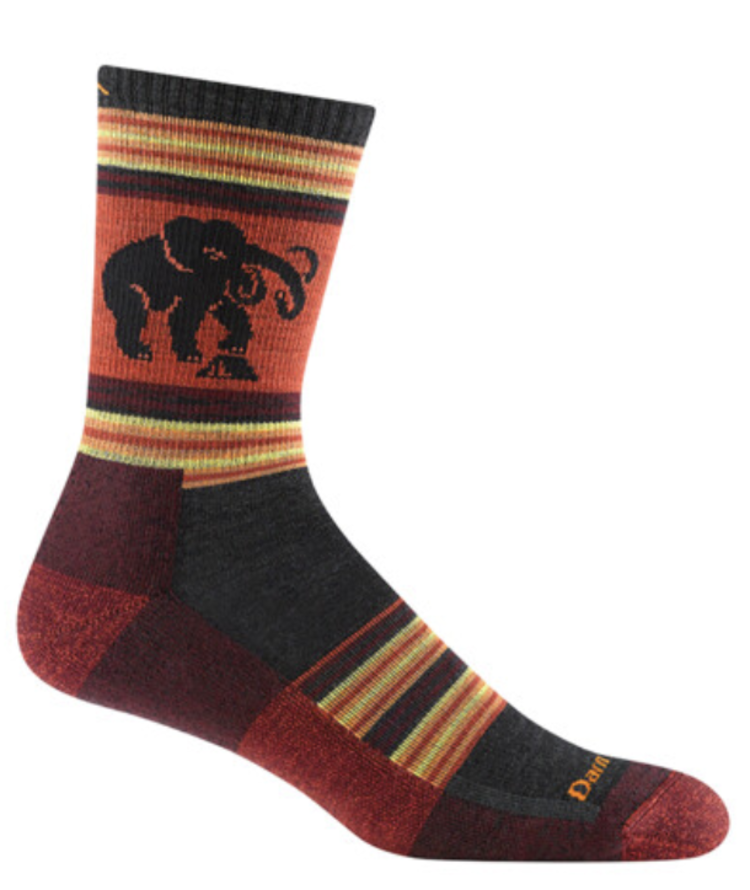 Darn Tough Vermont Men's Willoughby Micro Crew Lightweight Hiking Sock