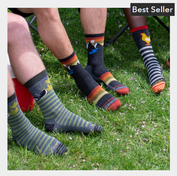 Darn Tough Vermont Men's Sunset Ridge Micro Crew Lightweight w/ Cushion