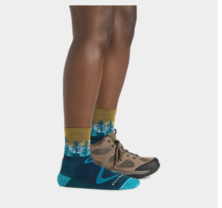 Darn Tough Vermont Women's Northwoods Micro Crew Midweight with Cushion Hiking Sock