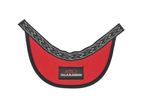 Beak Helmet Visor